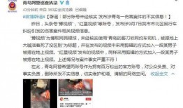 文春爆料金菜园事件视频,文春爆料背后的真相揭秘